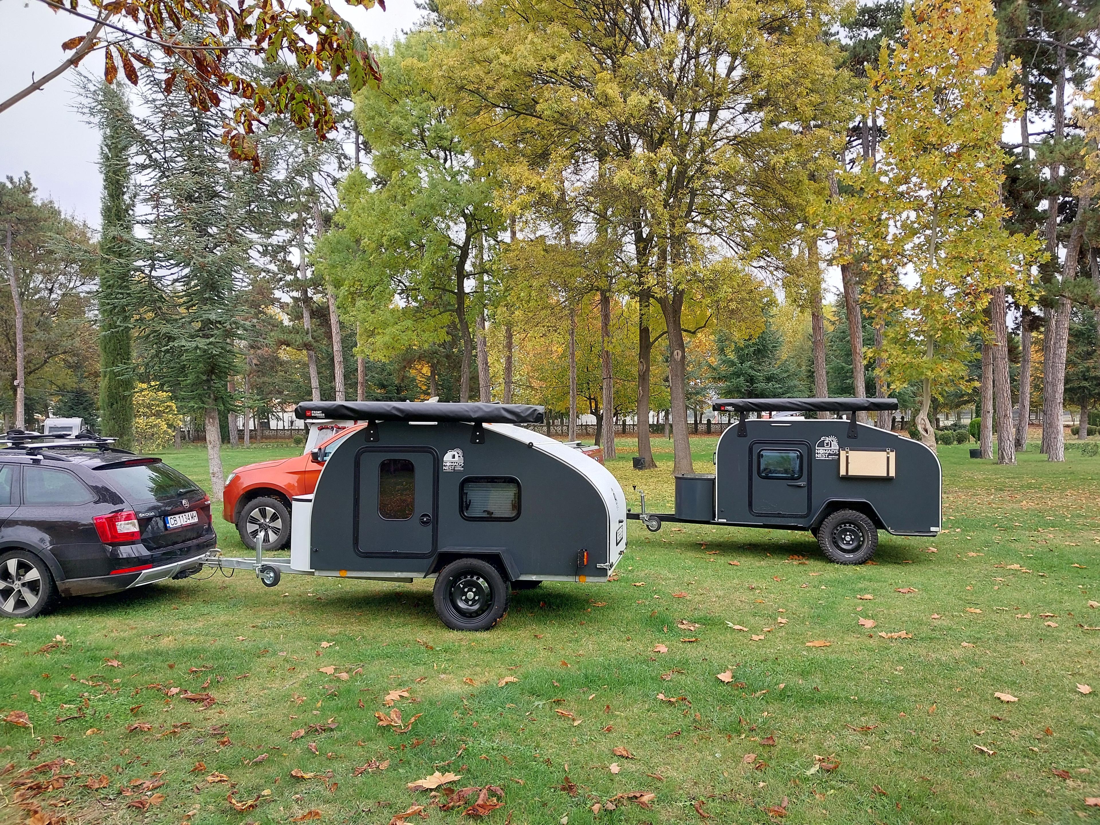 Find Your Perfect Companion